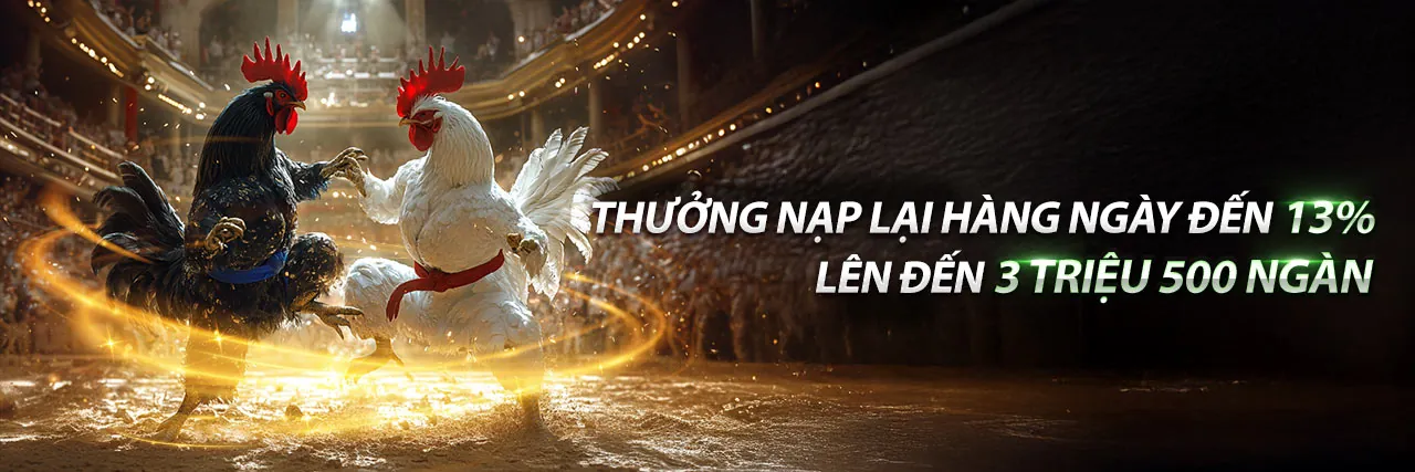 Tin tức vn365 casino mới nhất
