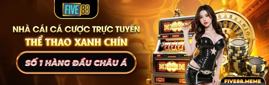 Hướng dẫn cá cược thể thao vn365 casino