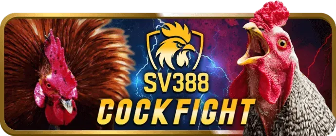 Hình ảnh minh họa chia sẻ dữ liệu an toàn tại vn365 casino