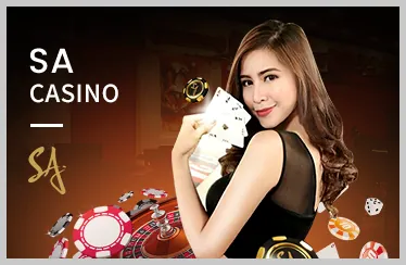 Hướng dẫn cá cược thể thao cho người mới tại vn365 casino